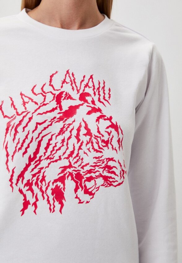 Свитшот Cavalli Class