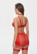 Бюстгальтер, трусы, пояс для чулок и подвязки 2 шт. Amazonka Underwear2  - превью
