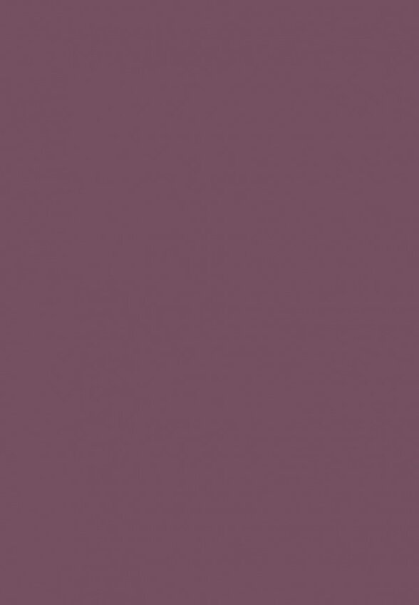 Карандаш для губ Influence Beauty