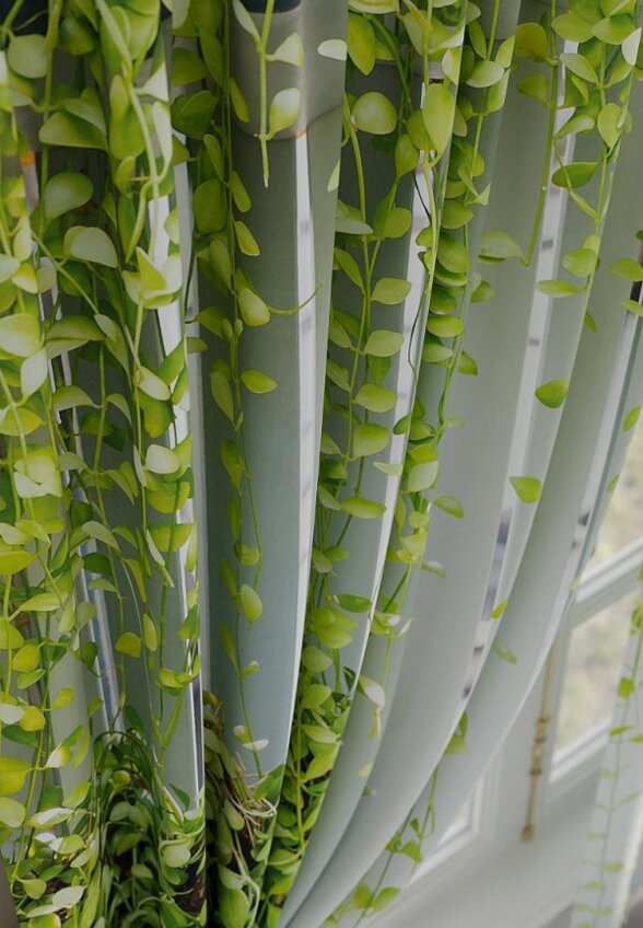 Шторы Comfy Way