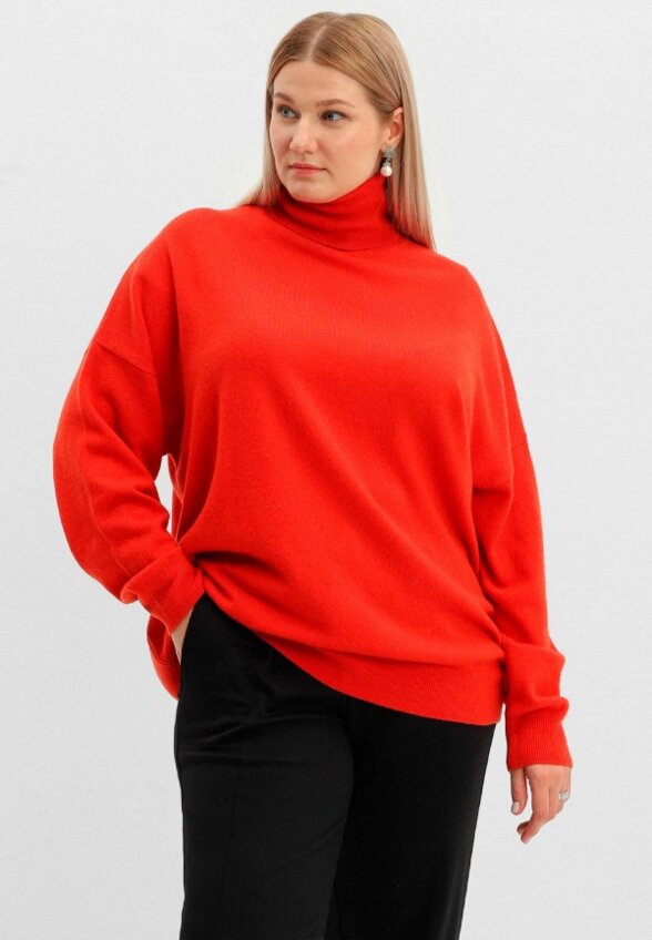 Водолазка Nominee