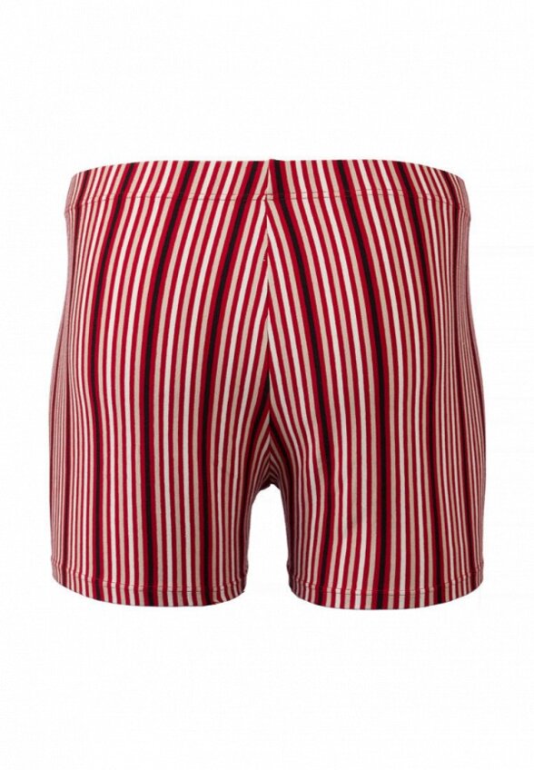 Трусы Lowry Collection