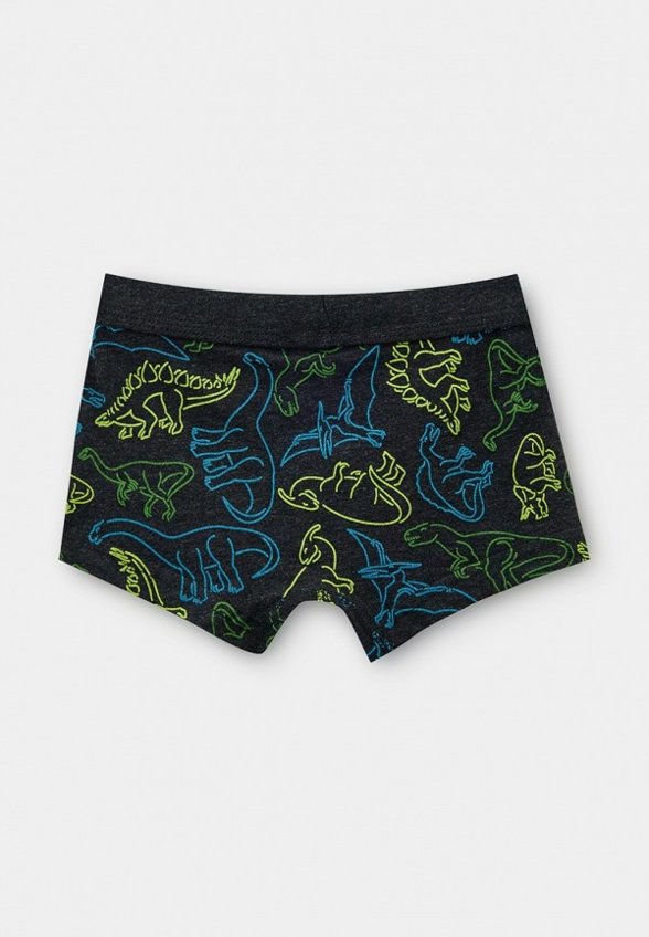 Трусы 2 шт. PlayToday