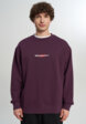 Свитшот мужской оверсайз Quiksilver Mercury Trident Crew, Красный2  - превью
