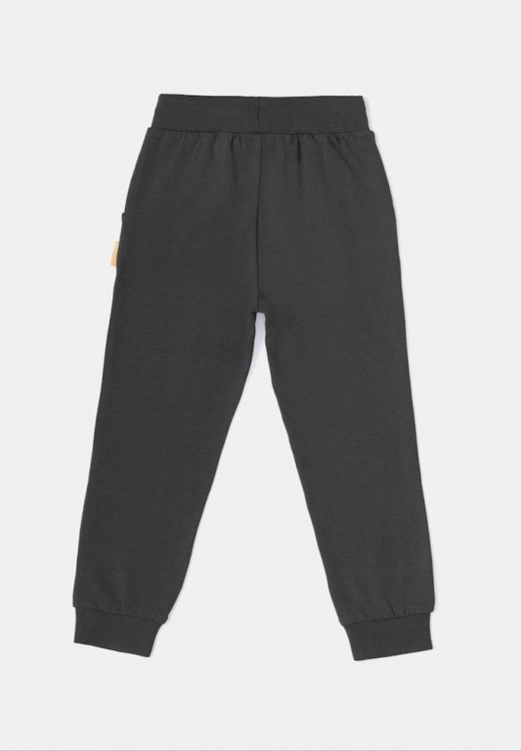 Брюки спортивные Kogankids