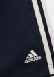 Шорты спортивные adidas3  - превью
