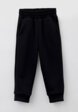 Брюки спортивные Агапэ1  - превью