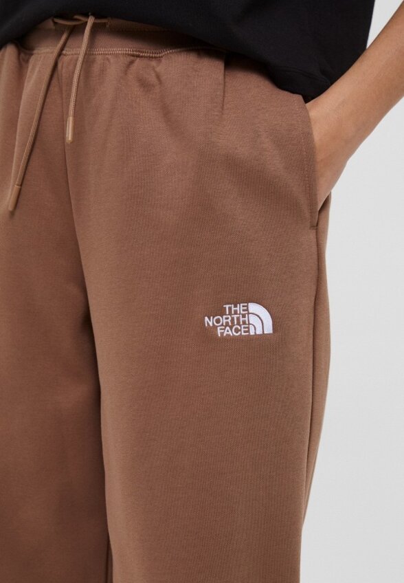 Брюки спортивные The North Face