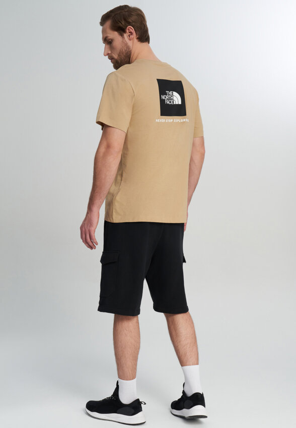 Футболка мужская The North Face Evolution, Бежевый
