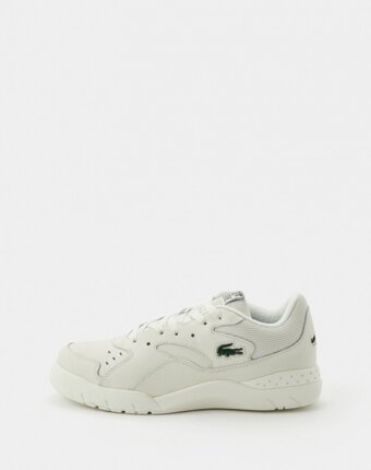 Кеды Lacoste мужчинам