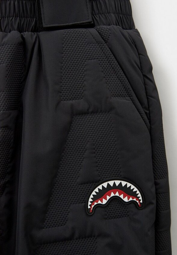 Брюки утепленные Sprayground