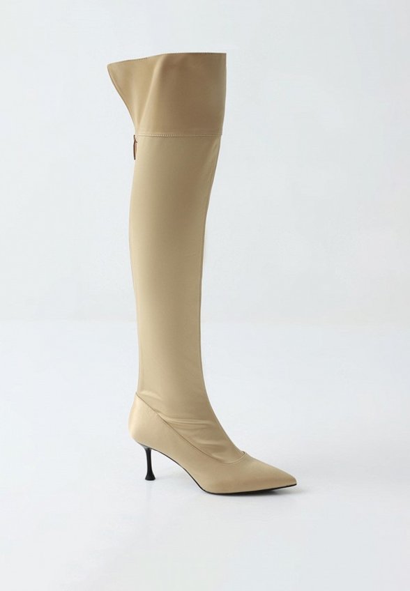 Ботфорты Passegiata