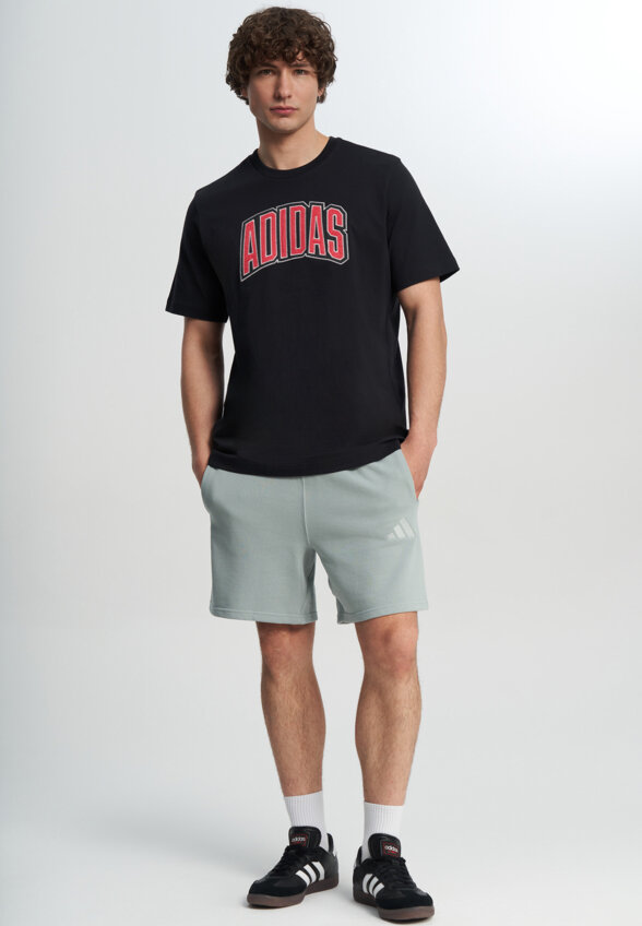 Футболка мужская Adidas Stad Colleg, Черный