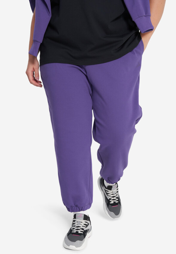 Брюки женские оверсайз Demix, Plus Size, Фиолетовый