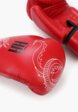 Перчатки боксерские Hukk2  - превью