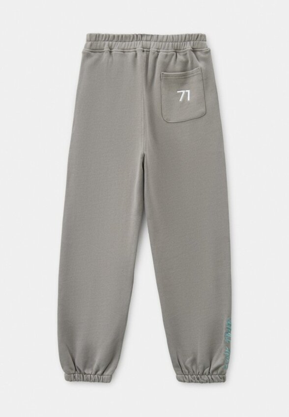 Брюки спортивные Asia st 71