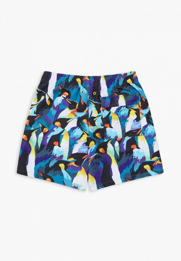 Шорты для плавания Norveg