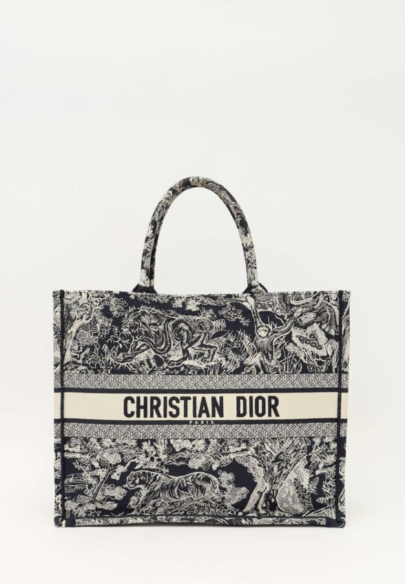 Dior Book Tote