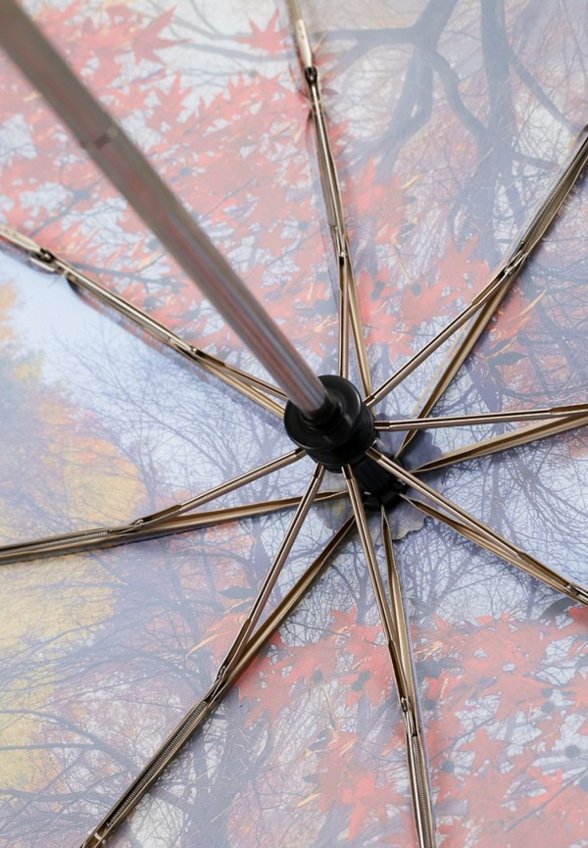 Зонт складной Trust