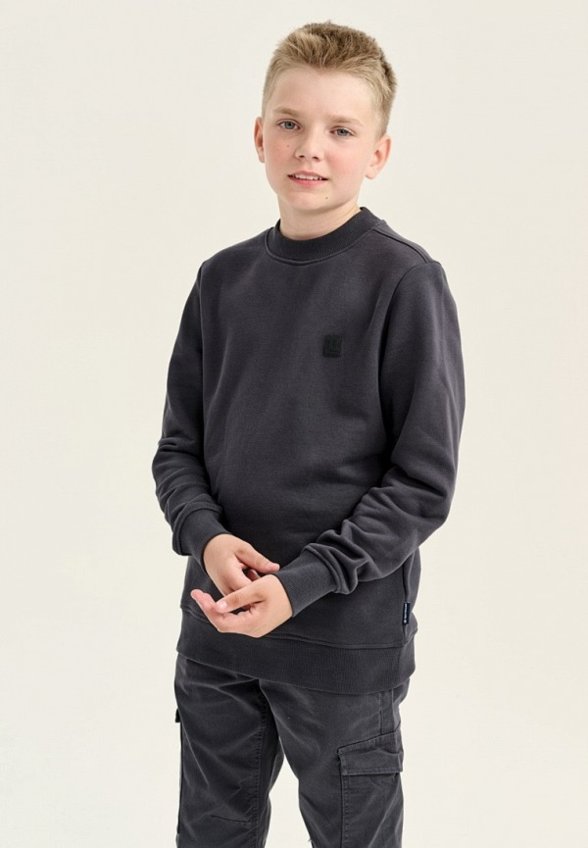 Свитшот Tom Tailor