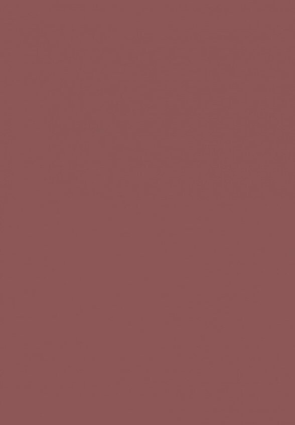 Помада жидкая Muzigae Mansion