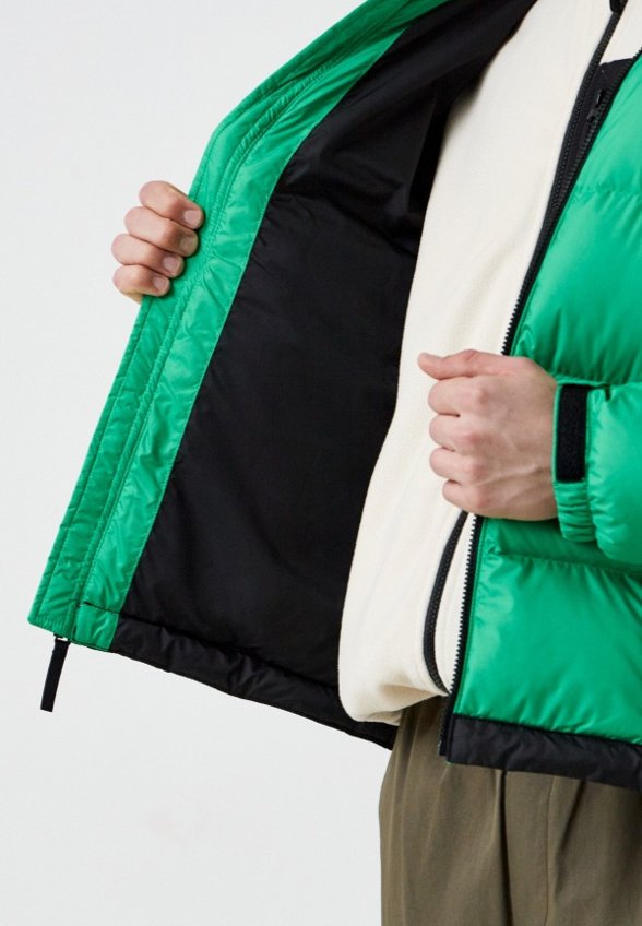 Пуховик The North Face