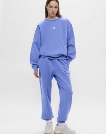 Брюки спортивные The North Face женщинам