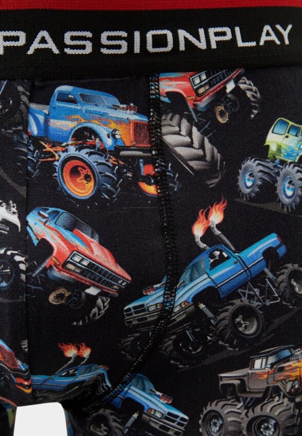 Трусы A Passion Play