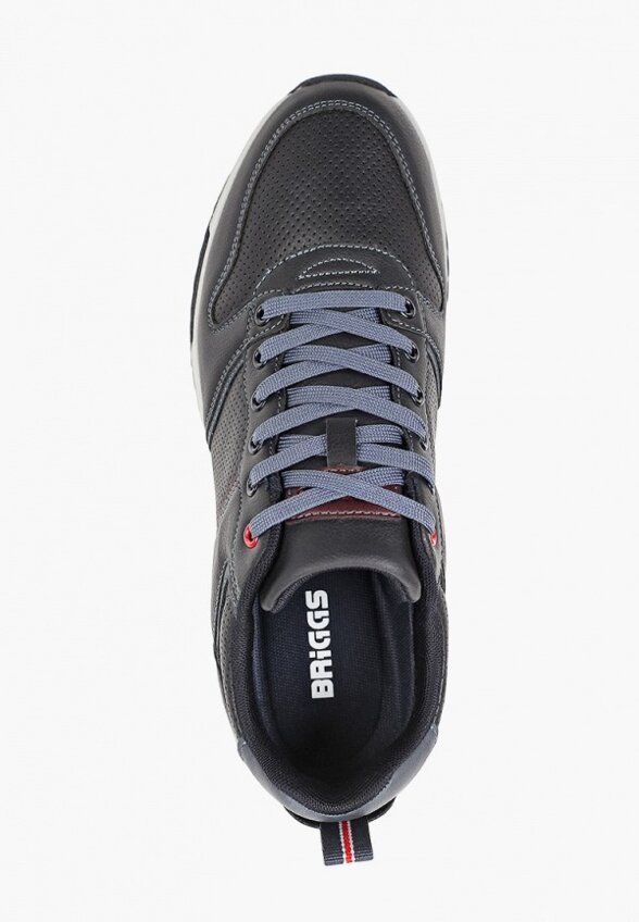 Кроссовки Briggs