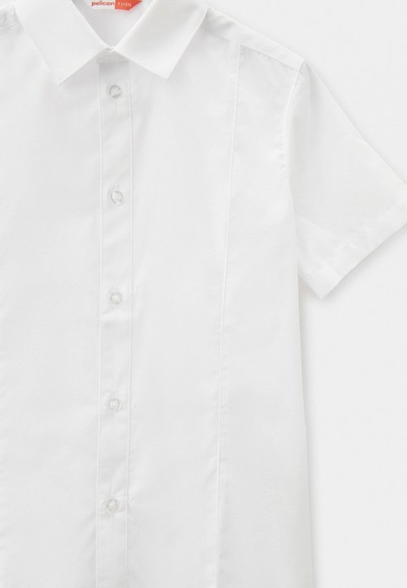 Рубашка Pelican