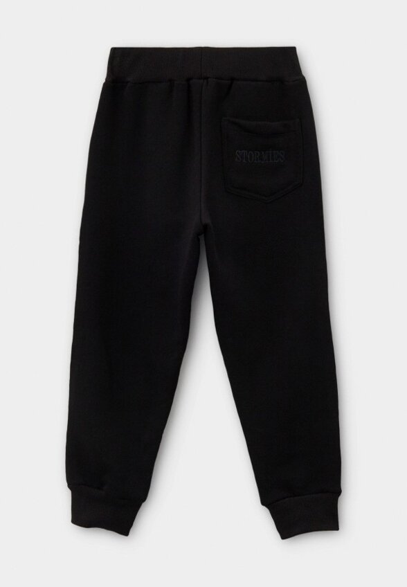 Брюки спортивные Stormies