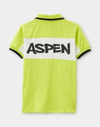 Поло Aspen Polo Club детям