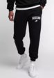 Брюки спортивные Boxraw1  - превью