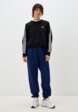 Свитшот adidas Originals2  - превью