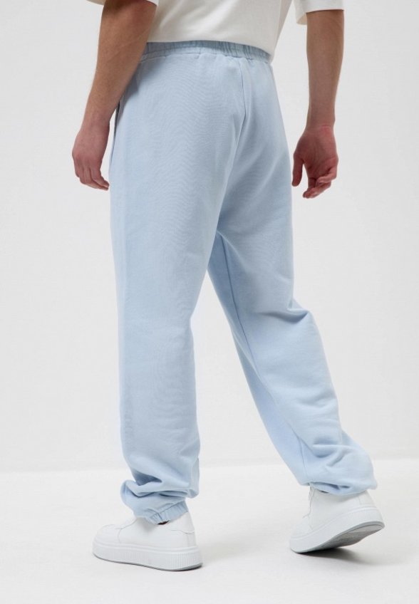 Брюки спортивные Low Lights