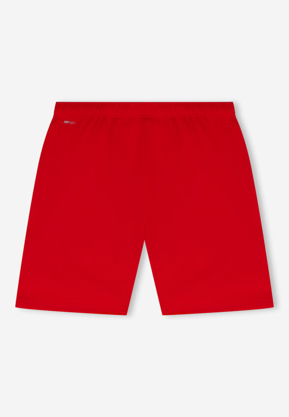Шорты мужские PUMA Teamrise, Красный