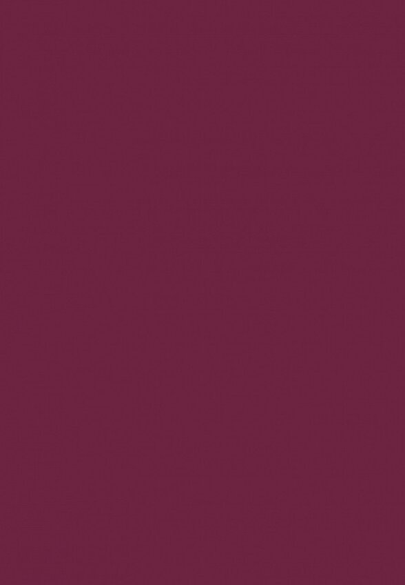 Карандаш для губ Astra