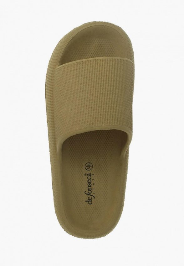 Сланцы De Fonseca