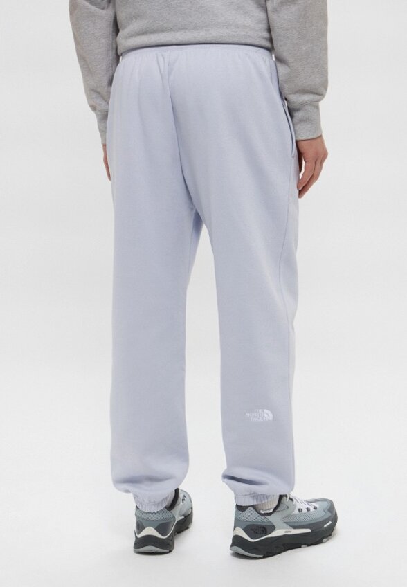 Брюки спортивные The North Face