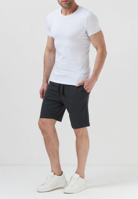 Шорты спортивные Envylab