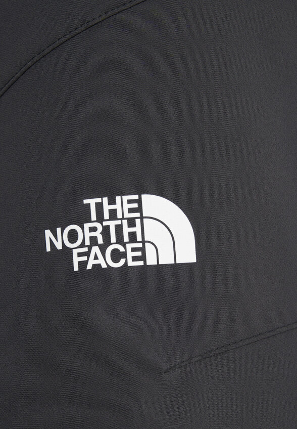 Брюки мужские The North Face Diablo Reg, Серый