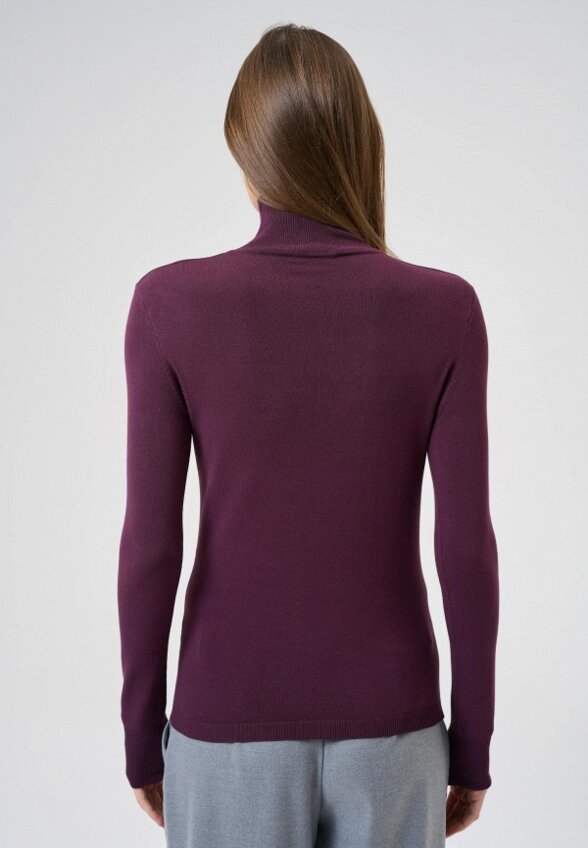 Водолазка Cepheya