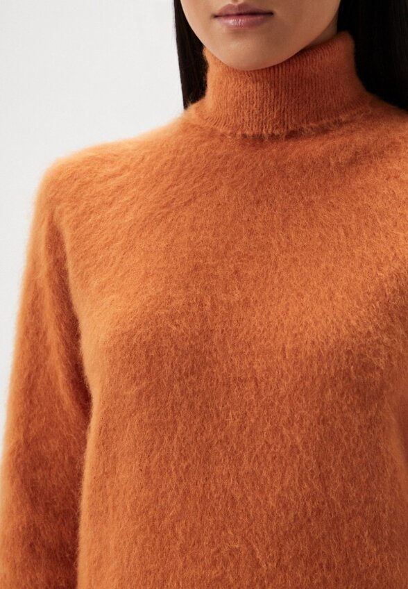 Водолазка Alberta Ferretti