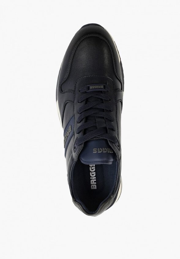 Кроссовки Briggs