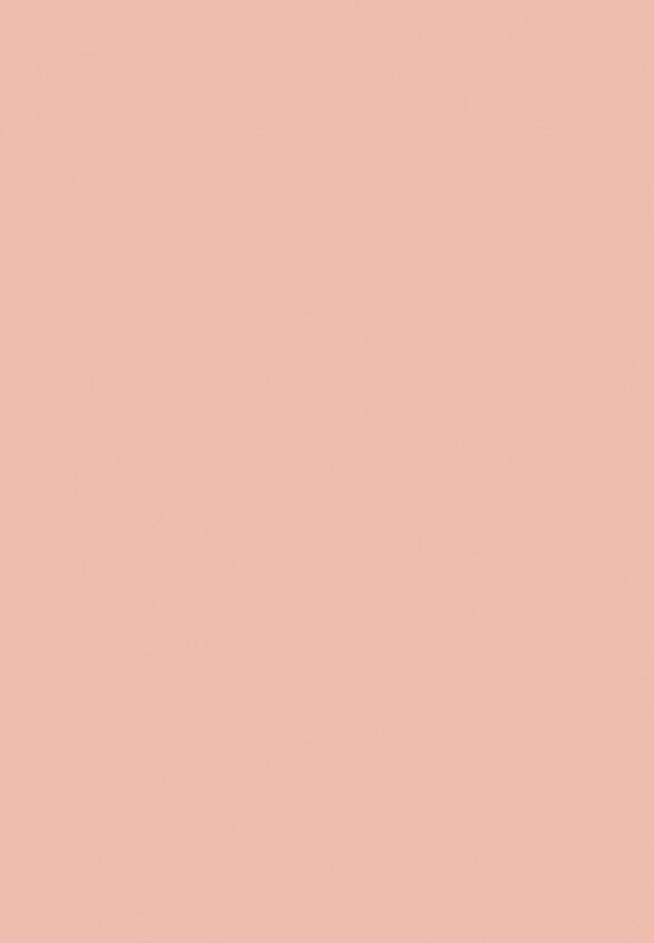 Хайлайтер L'Oreal Paris