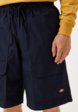 Шорты Dickies4  - превью