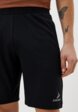 Шорты спортивные Demix4  - превью