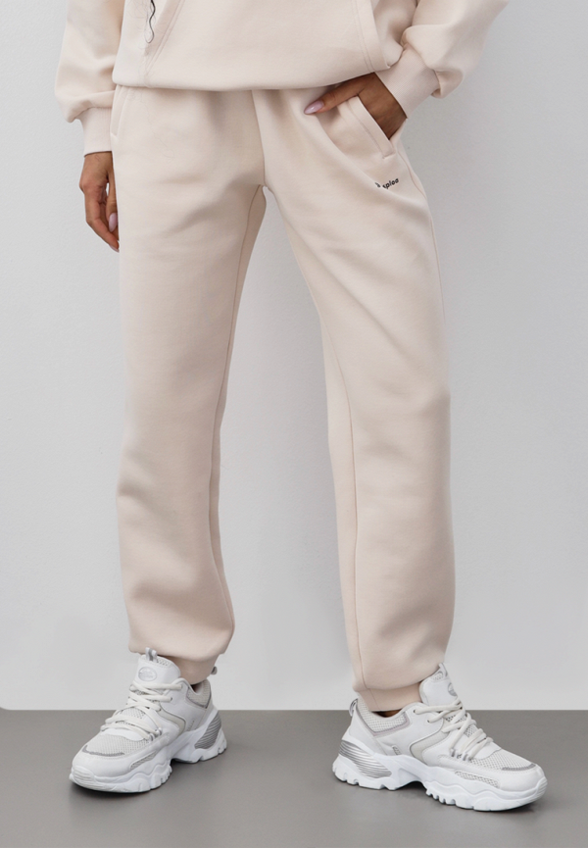 Брюки спортивные Baasploa