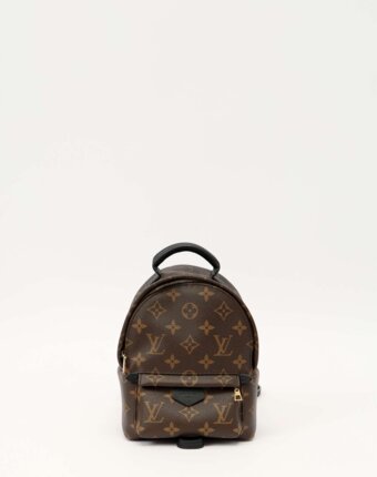 Louis Vuitton Palm Springs женщинам