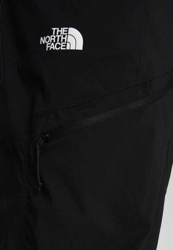 Брюки мужские The North Face Exploration, Черный